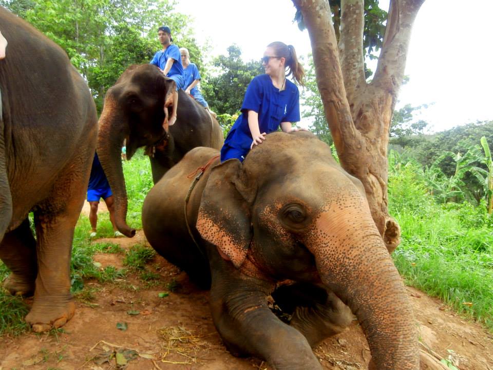 baanchang-elephant-park (1)