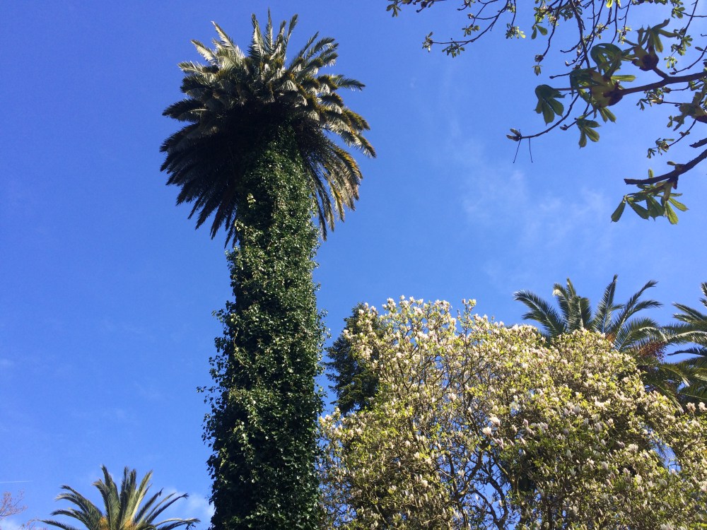 imperfectly-free-alameda-santiago-de-compostela