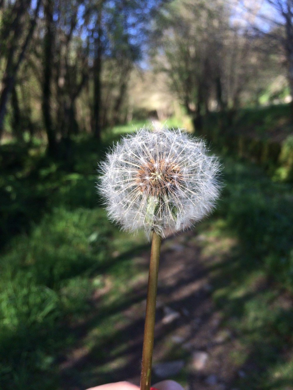 imperfectly-free-rio-sarela-santiago-de-compostela