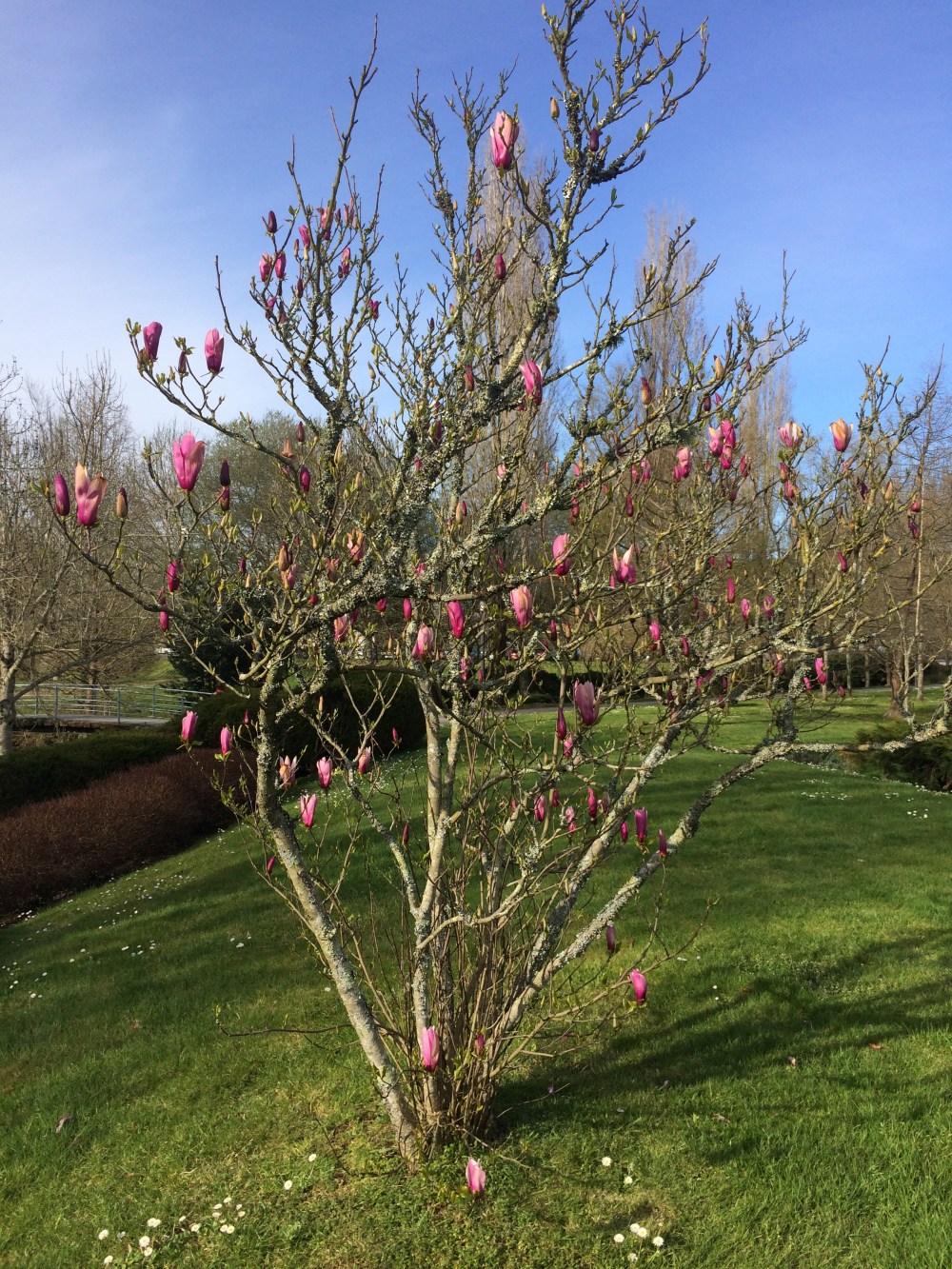 imperfectly-free-santiago-de-compostela