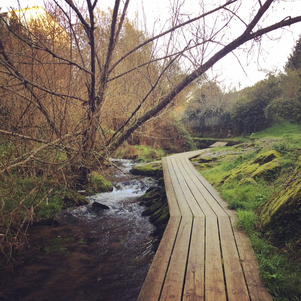 imperfectly-free-santiago-de-compostela