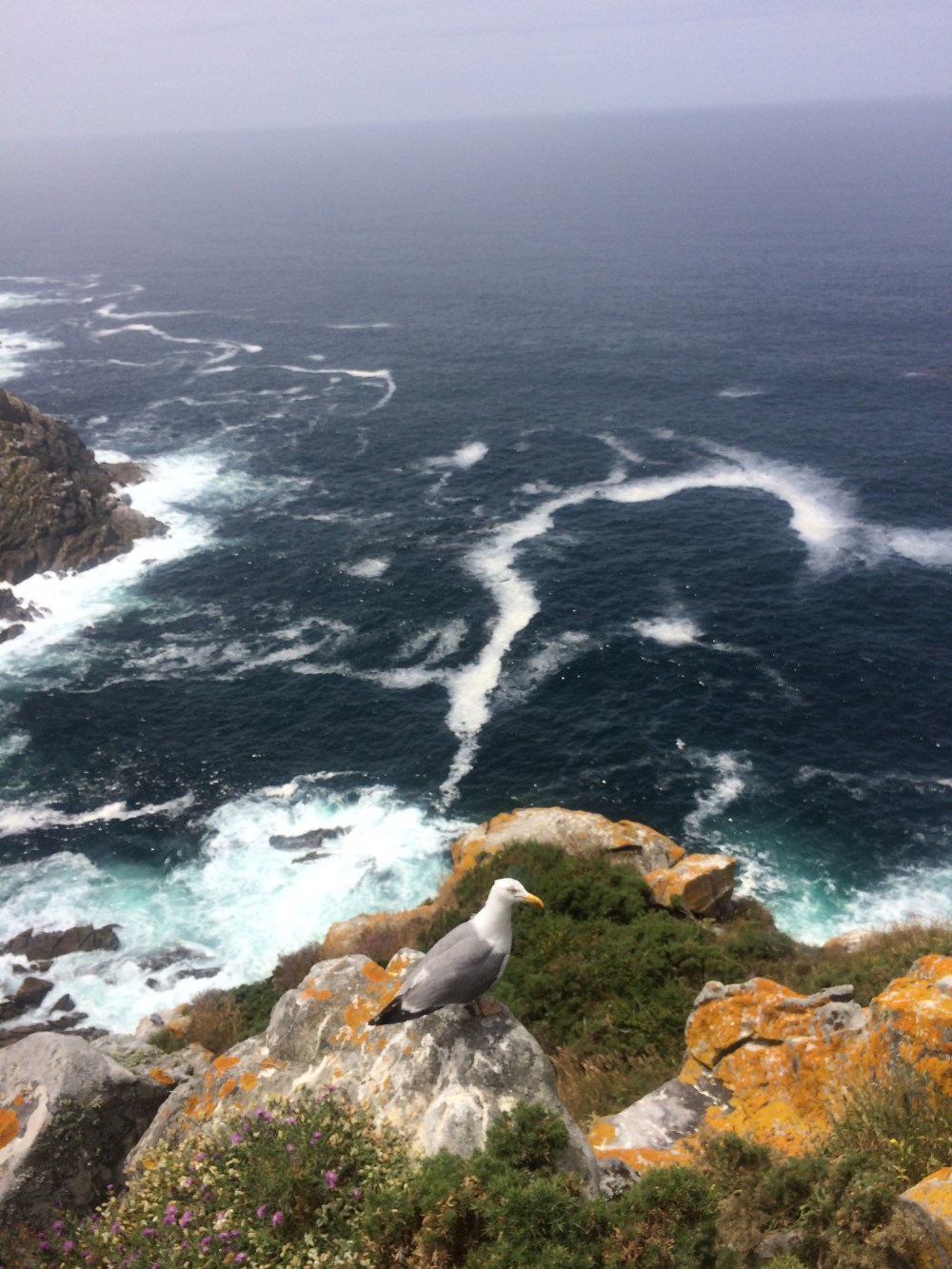 Photo 01-07-2016, 15 13 41