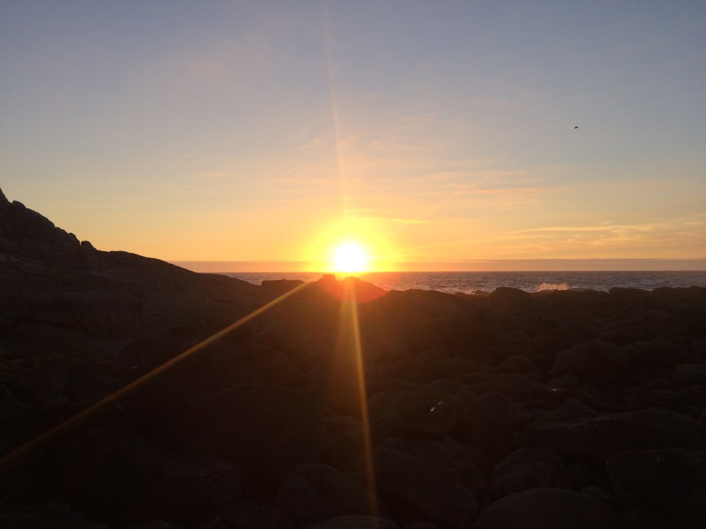 Photo 01-07-2016, 22 04 53